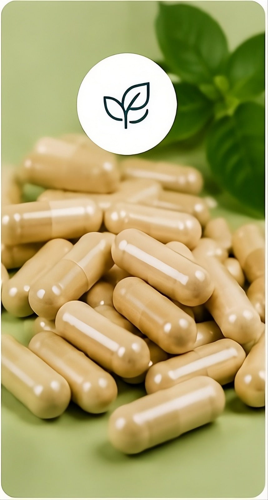 Bienestar y Suplementos