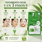 Máscara Facial de Aloe Vera y Colágeno en 3 Pasos
